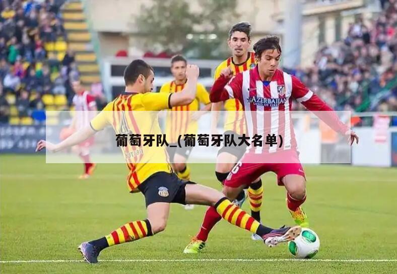 葡萄牙队_(葡萄牙队大名单)