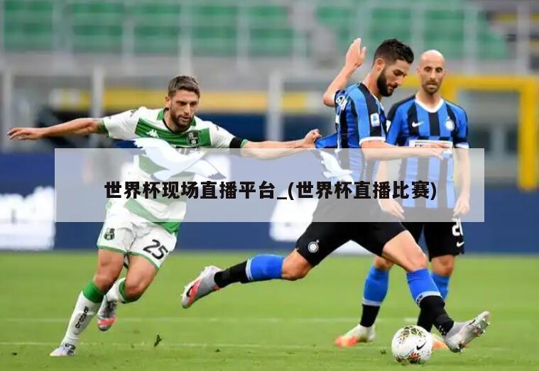 世界杯现场直播平台_(世界杯直播比赛)