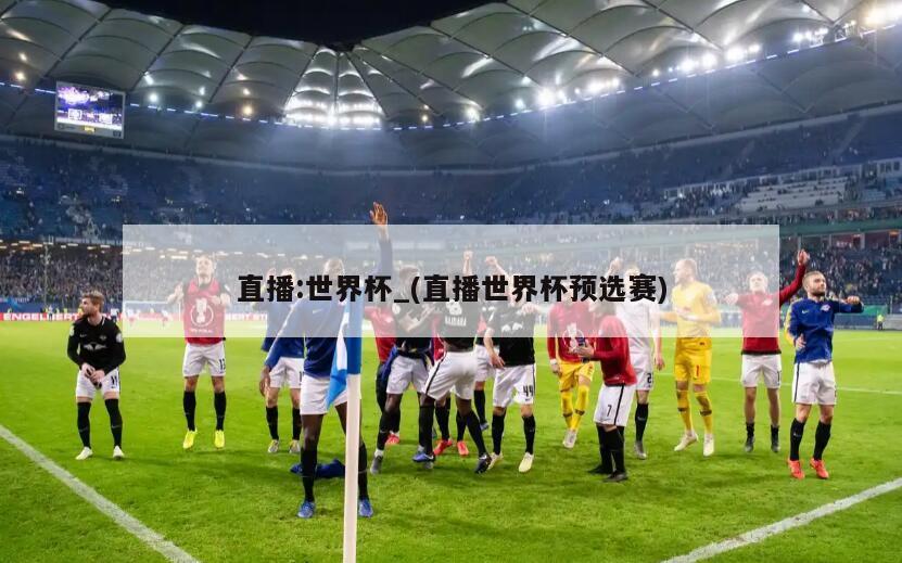 直播:世界杯_(直播世界杯预选赛)