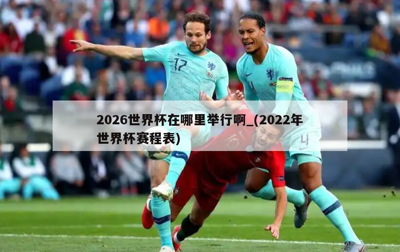 2026世界杯在哪里举行啊_(2022年世界杯赛程表)