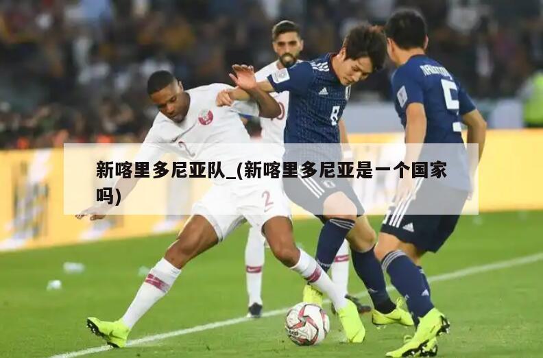 新喀里多尼亚队_(新喀里多尼亚是一个国家吗)