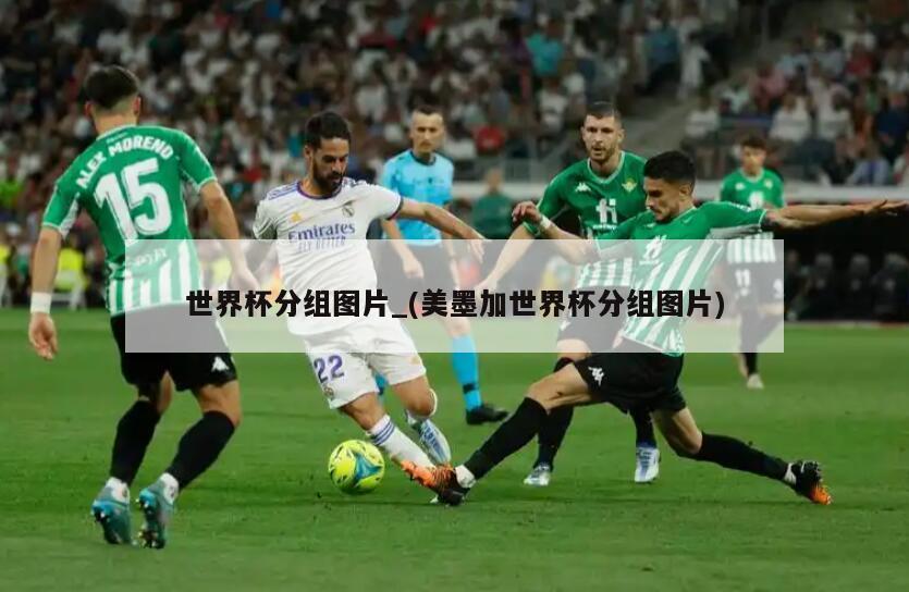 世界杯分组图片_(美墨加世界杯分组图片)