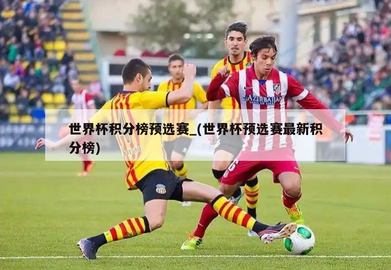 世界杯积分榜预选赛_(世界杯预选赛最新积分榜)