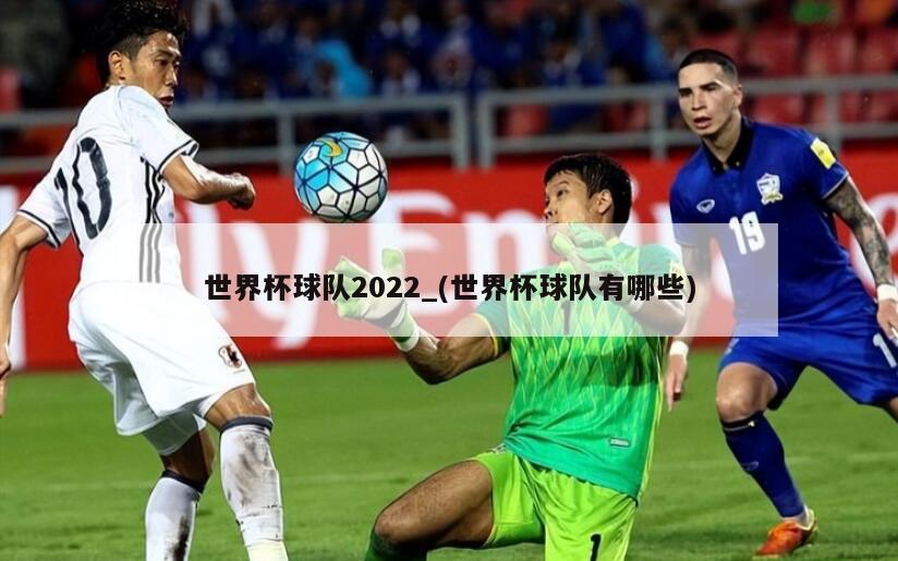 世界杯球队2022_(世界杯球队有哪些)