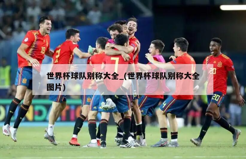 世界杯球队别称大全_(世界杯球队别称大全图片)